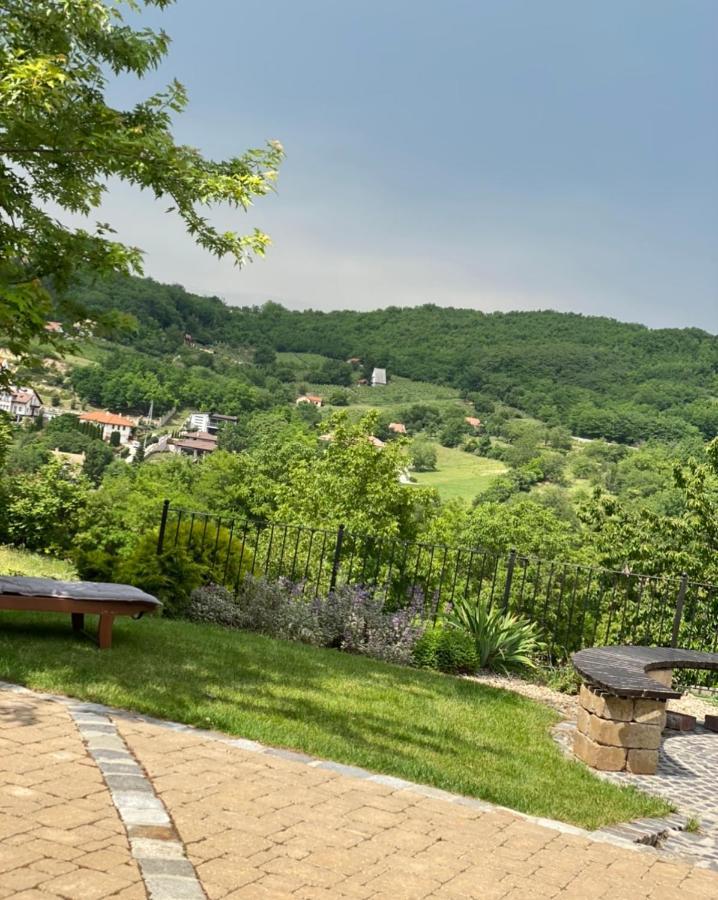 Vass-Villa Vendeghaz Szekszárd Exterior foto