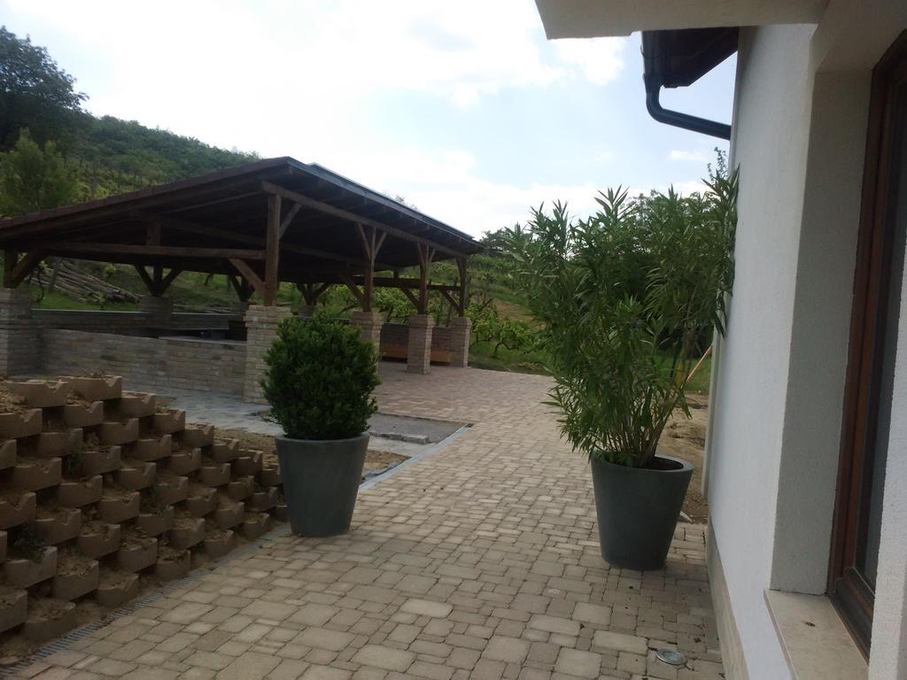 Vass-Villa Vendeghaz Szekszárd Exterior foto