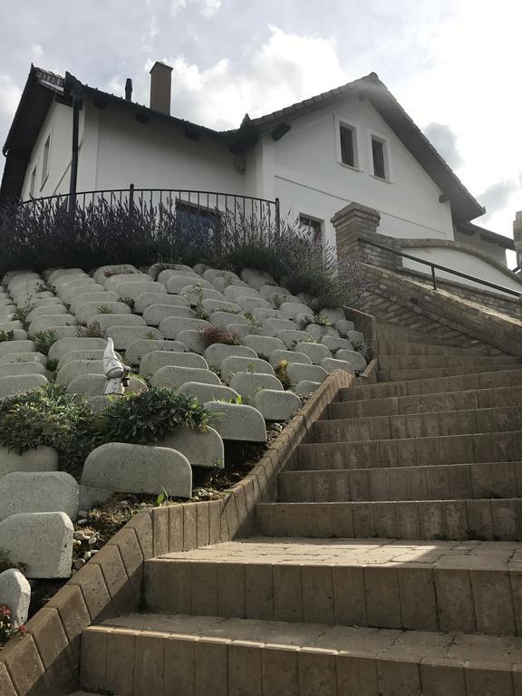Vass-Villa Vendeghaz Szekszárd Exterior foto